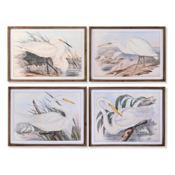 Quadro DKD Home Decor Abete Cristallo 70 x 50 x 2 cm Airone (4 Pezzi)
