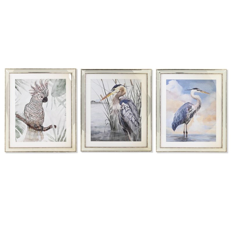 Quadro DKD Home Decor 40 x 1,6 x 60 cm Uccelli Mediterraneo (3 Pezzi) Quadro DKD Home Decor 40 x 1,6 x 60 cm Uccelli Mediterraneo (3 Pezzi)