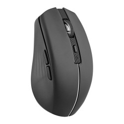 Mouse T'NB GRADIENT