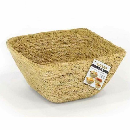 Cestino Multiuso Privilege Erba di mare Quadrato 16 x 16 x 8 cm (24 Unità)