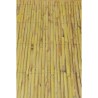 Divisorio Faura f10001 1 x 5 m