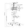 Supporto TV Aisens FT70TE-169 50 kg