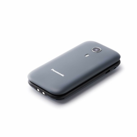 Telefono Cellulare Panasonic KX-TU400EXG Grigio