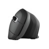 Mouse senza Fili Trust Verro Nero
