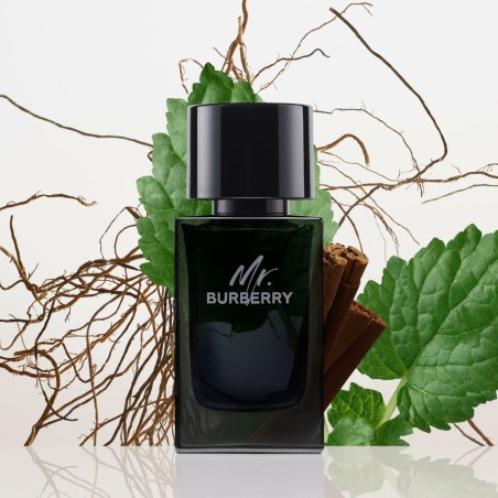 Profumo Uomo Burberry Mr. Burberry 100 ml