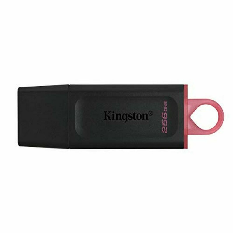 Memoria USB Kingston DTX/256GB Nero 256 GB Memoria USB Kingston DTX/256GB Nero 256 GB