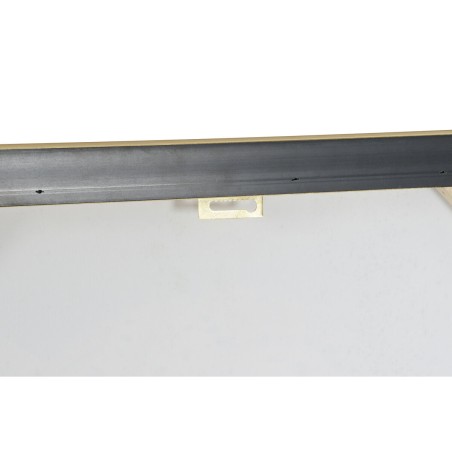 Quadro Home ESPRIT Coloniale Leone 63 x 3,5 x 93 cm (2 Unità)
