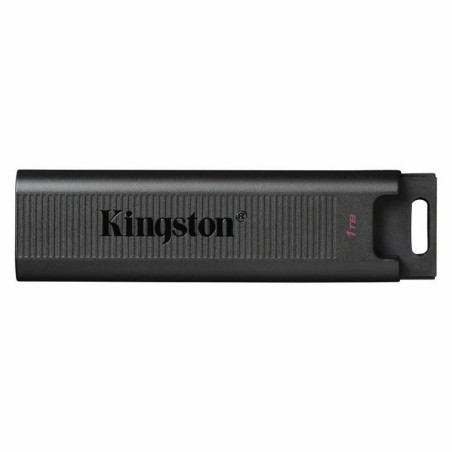 Memoria USB   Kingston DTMAX/1TB         Nero  