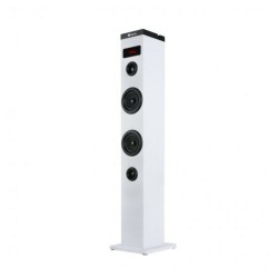 Altoparlante a Colonna NGS ELEC-SPK-0666 50W