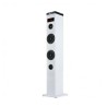 Altoparlante a Colonna NGS ELEC-SPK-0666 50W