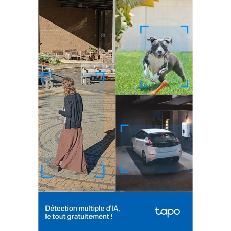 Videocamera di Sorveglianza TP-Link TAPO C520WS