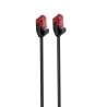 Cavo di Rete Ewent IM1046 Nero 2 m