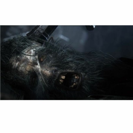 Videogioco PlayStation 4 Sony Bloodborne PlayStation Hits