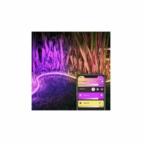 Strisce LED Philips Tira de luz para exteriores 5 metros G 6500 K