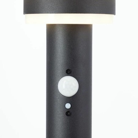Lampada ad energia solare Brilliant Nero 3 W