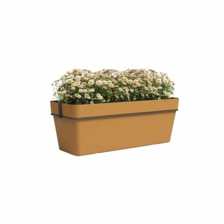 Vaso Artevasi CAPRI RE KIT Giallo Jaune (6 Pezzi)
