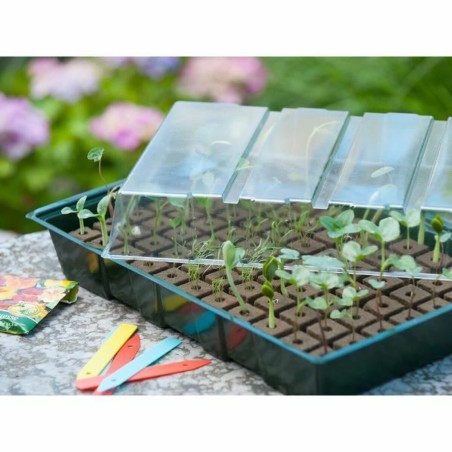 Set di coltivazione Nature 11 x 35 x 23,5 cm
