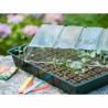 Set di coltivazione Nature 11 x 35 x 23,5 cm