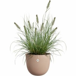 Vaso Elho Sereh Rond 40 Marrone 39 x 33 cm