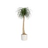 Vaso Elho Bianco Verde Plastica 30 x 30 x 28 cm