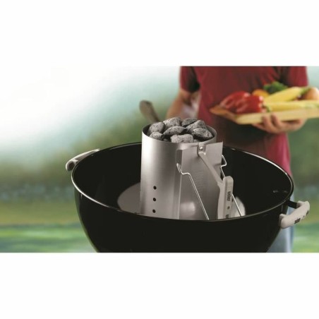 Ciminiera di Accensione per Barbecue Weber 17631