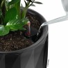 Vaso Lechuza Grigio Plastica (1 Unità)