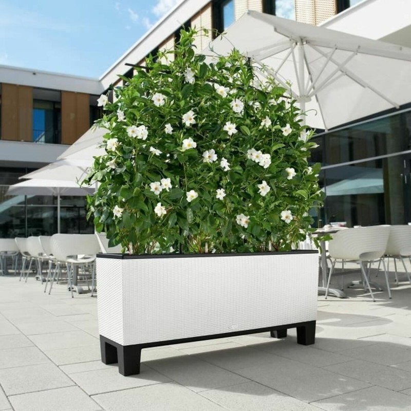 Vaso Lechuza 32 x 100 x 34 cm Bianco Plastica Rettangolare Vaso Lechuza 32 x 100 x 34 cm Bianco Plastica Rettangolare