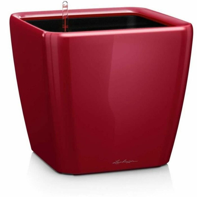 Vaso Autoirrigante Lechuza Rosso 50 x 50 x 46,5 cm Plastica Vaso Autoirrigante Lechuza Rosso 50 x 50 x 46,5 cm Plastica