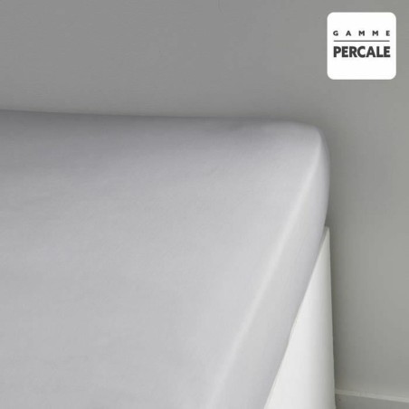 Lenzuolo con angoli aderenti TODAY Percale Grigio chiaro 140 x 200 cm Grigio