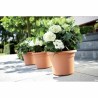 Vaso Elho   Rotonda Rosa Plastica Ø 30 cm