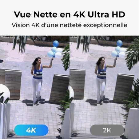 Videocamera di Sorveglianza Reolink