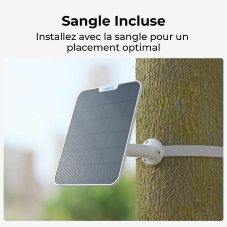 Videocamera di Sorveglianza Reolink