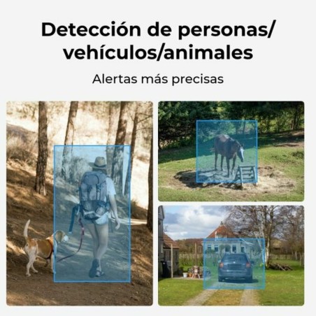 Videocamera di Sorveglianza Reolink