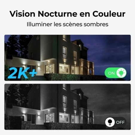 Videocamera di Sorveglianza Reolink