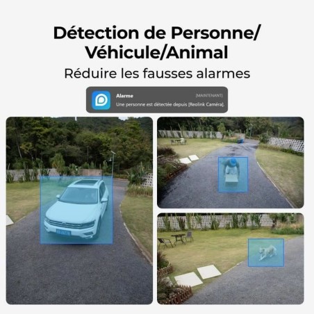 Videocamera di Sorveglianza Reolink