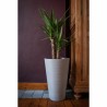 Vaso Garden ID