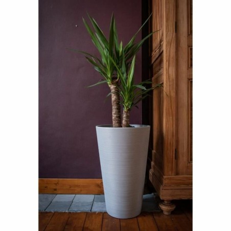 Vaso Garden ID