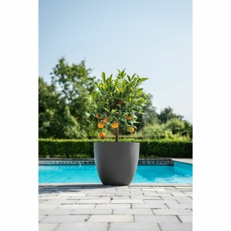 Vaso Garden ID Antracite 38 x 34 cm
