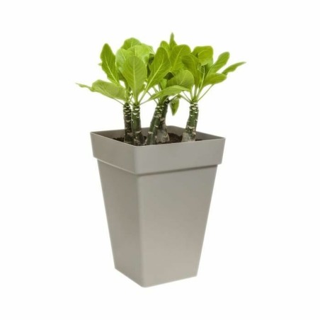 Vaso Elho Antracite polipropilene Plastica Quadrato Moderno 37 cm