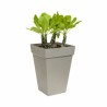 Vaso Elho Antracite polipropilene Plastica Quadrato Moderno 37 cm