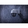 Videocamera di Sorveglianza ABUS PPIC44520