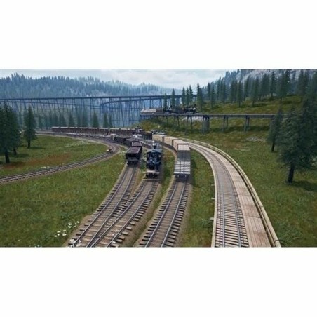 Videogioco PlayStation 5 Microids Railroads Online