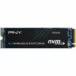 Hard Disk PNY M280CS1030-250-RB