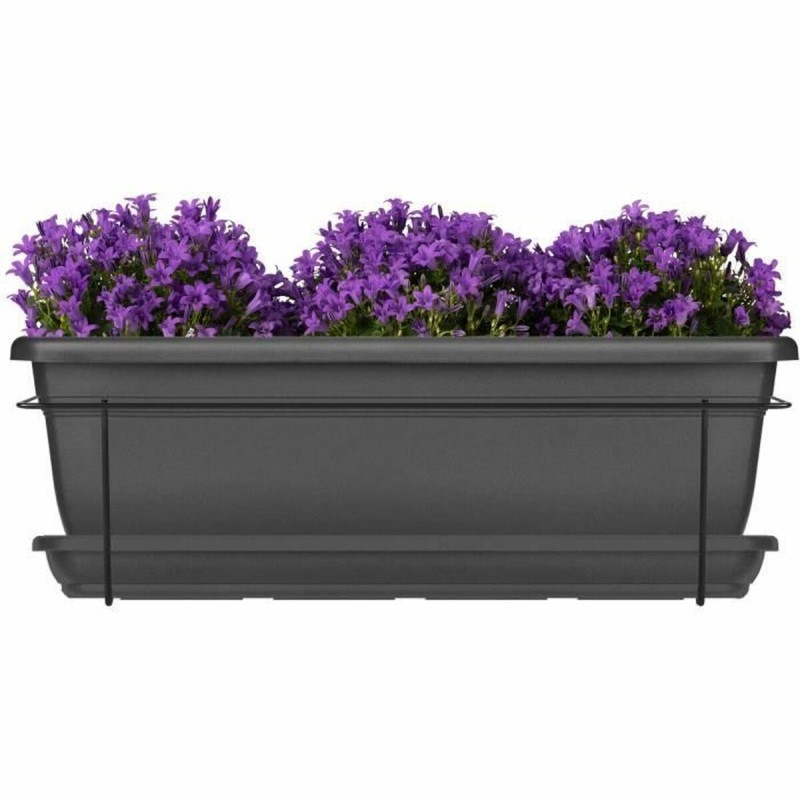 Vaso rettangolare da Balcone Garden ID Antracite 50 cm Vaso rettangolare da Balcone Garden ID Antracite 50 cm