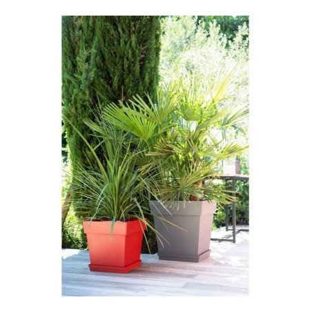 Vaso EDA Tuscan Taupé Plastica Quadrato Ø 50 cm (49,5 x 49,5 x 52,5 cm)