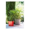 Vaso EDA Tuscan Taupé Plastica Quadrato Ø 50 cm (49,5 x 49,5 x 52,5 cm)