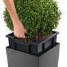 Vaso Lechuza 40 x 40 x 105 cm Plastica Rettangolare