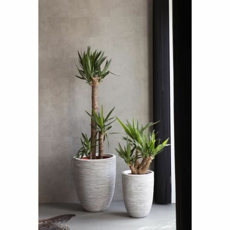 Vaso Capi Europe Avorio Plastica 34 x 34 x 36 cm