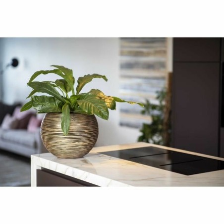 Vaso Capi Europe Dorato Plastica Rotondo Ø 40 cm