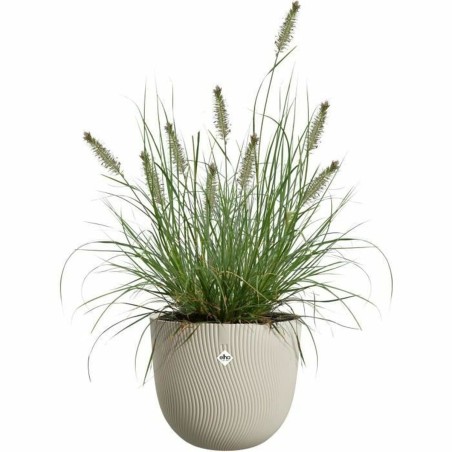 Vaso Elho Sereh Round 40 Beige 39 x 33 cm